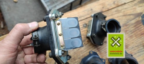 IMG_20230828_114044